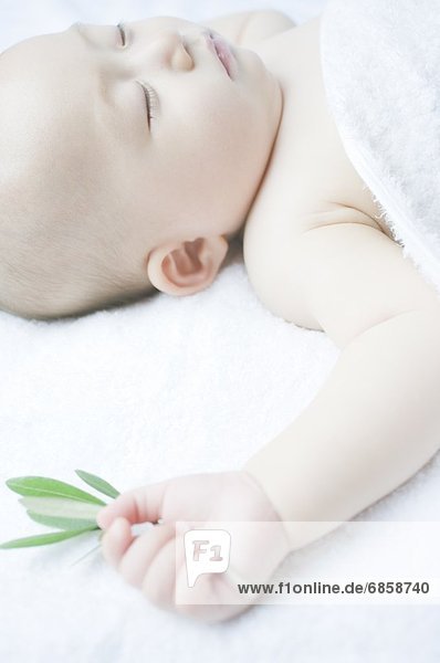 Junge - Person  halten  schlafen  Ast  Olive  Baby