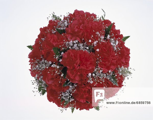 A round bouquet of red carnations