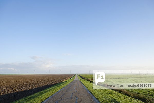 A Country Road Leading Through Farmlands. Groningen  Netherlands  Europe
