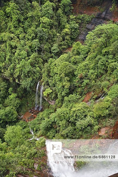 Berg  bedecken  Baum  Wasserfall  Seitenansicht  China  Sichuan