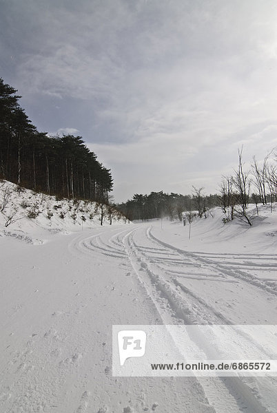 Rural Road in Winter