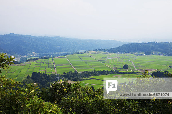 Echigo plain  Niigata Prefecture  Honshu  Japan