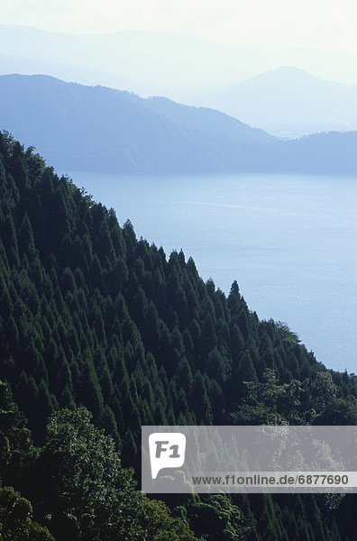 Lake Okubiwa  Shiga Prefecture  Honshu  Japan