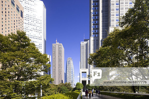 Cityscape of Shinjuku  Tokyo Prefecture  Honshu  Japan