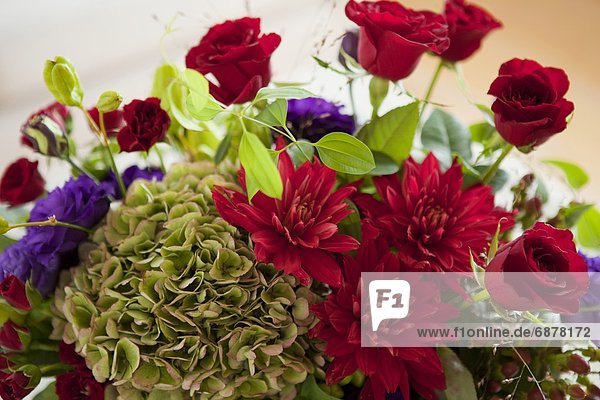 Red Bouquet