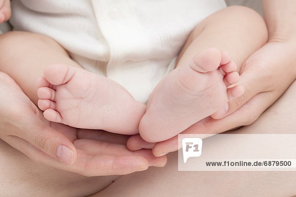 Baby's Feet on Mother's Hands