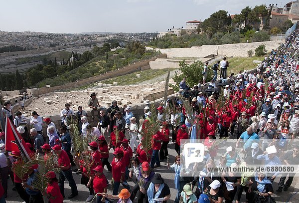 Jerusalem  Hauptstadt  Großstadt  Berg  Richtung  Olive  Naher Osten  Israel  alt  Prozession  Sonntag