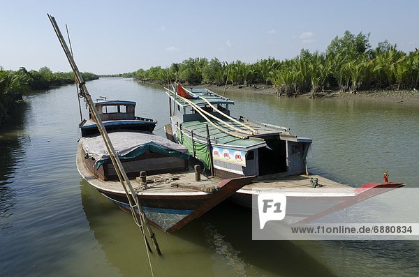 Boats in a waterway with mangrove trees  Irrawaddy Delta  Myanmar (Burma)  Asia