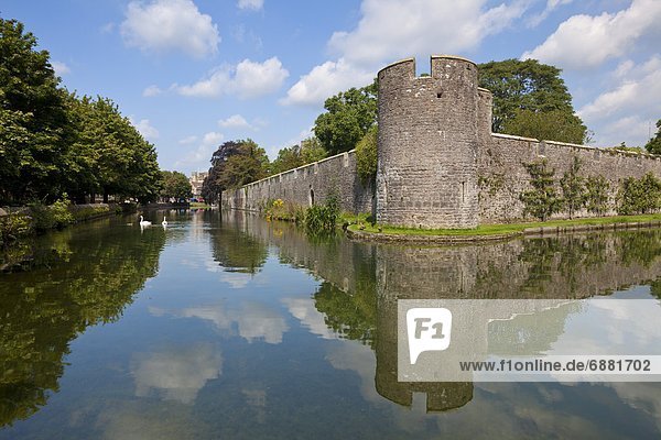 Moat and Bishops Palace  a medieval building  home to the Bishops of Bath and Wells for 800 years  Wells  Somerset  England  United Kingdom  Europe