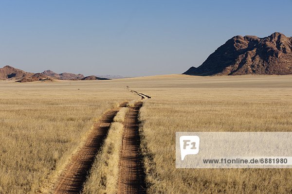 Namibia  Namib  Afrika