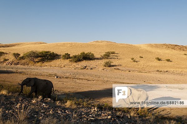Namibia  Afrika