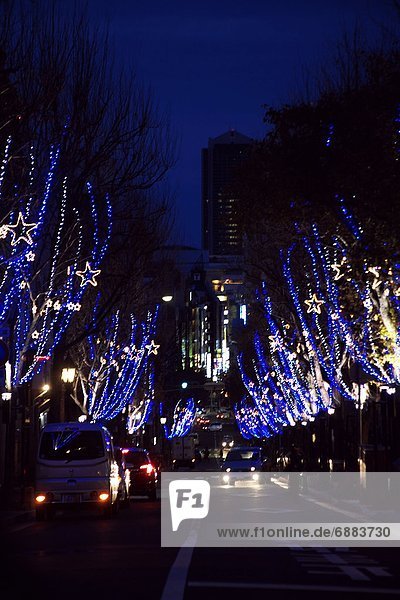 Straße  Beleuchtung  Licht  Weihnachten  Allee