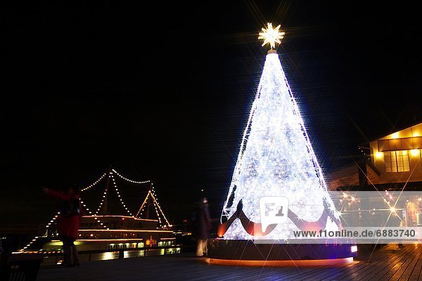 Hafen  Baum  Weihnachten