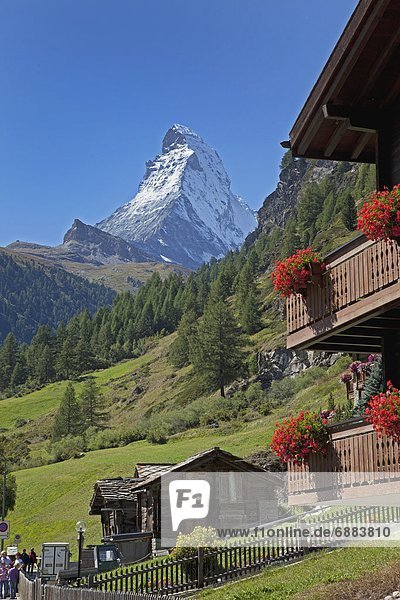 Europa Matterhorn Westalpen Schweiz Zermatt Kanton Wallis Schweizer Alpen