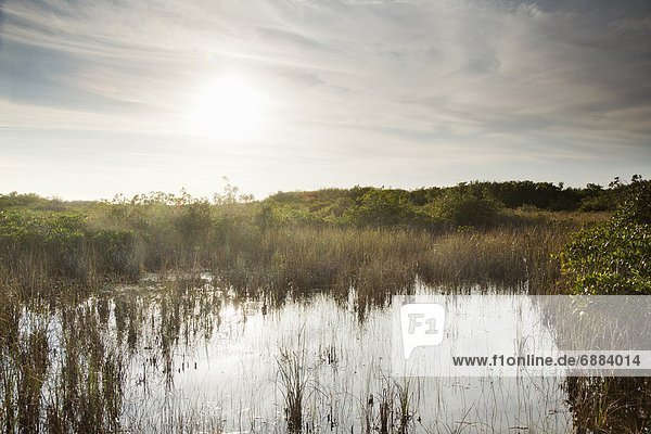 Vereinigte Staaten von Amerika  USA  Nordamerika  UNESCO-Welterbe  Everglades Nationalpark  Florida