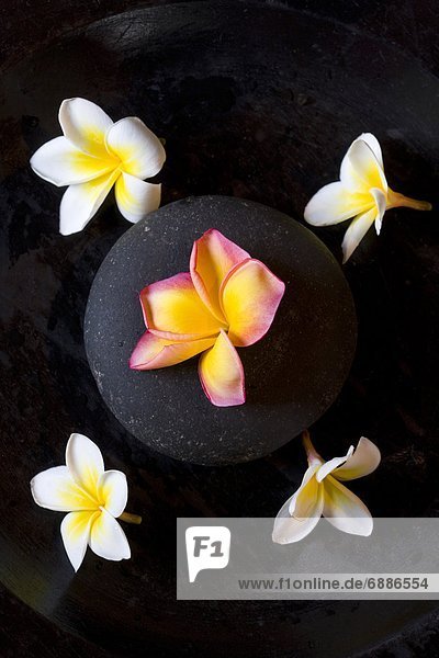 Flowers on Black Stone