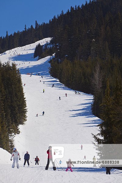 Snowboardfahrer  gehen  rennen  Nordamerika  Ski  British Columbia  Kanada