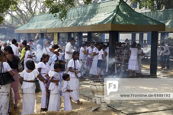 Buddhist pilgrims  Sri Maha Bodhi  sacred bodhi tree planted in 249 BC Unesco World Heritage Site  Anuradhapura  Sri Lanka  Asia