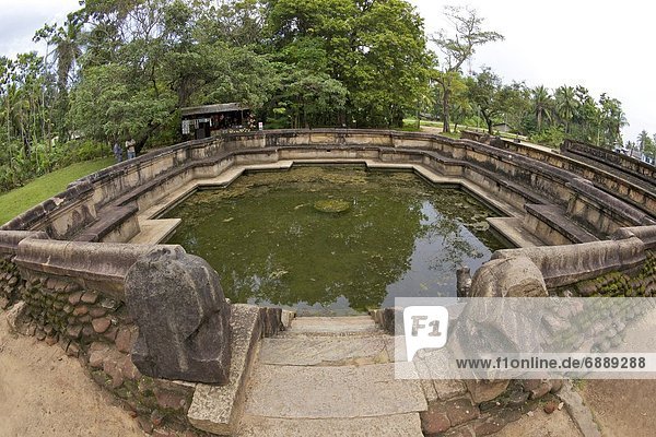 Kumara Pokuna  Royal Pond of King Parakramabahu  UNESCO World Heritage Site  Polunnaruwa  Sri Lanka