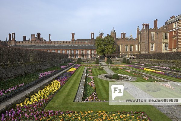 Formal gardens  Hampton Court Palace  Greater London  England  United Kingdom  Europe