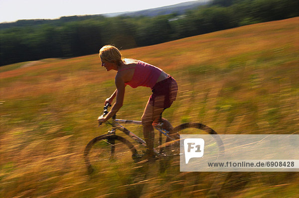 Woman Biking through Field of Tall Grass  Maine  USA