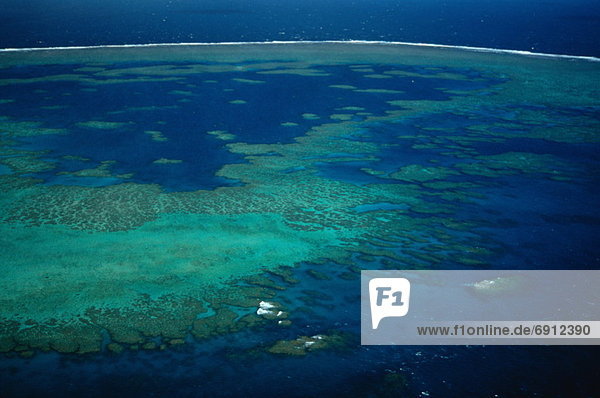 Great Barrier Reef  Queensland  Australien