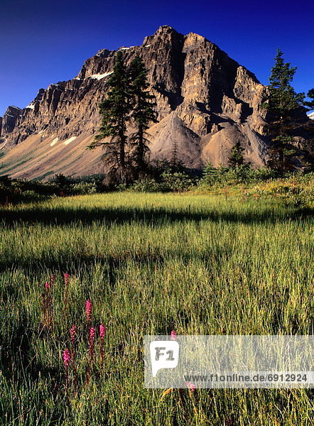 Banff Nationalpark Alberta Kanada