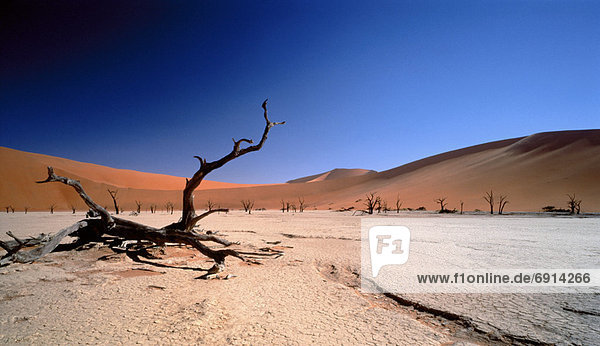 Wüste Namibia Namib Sossusvlei