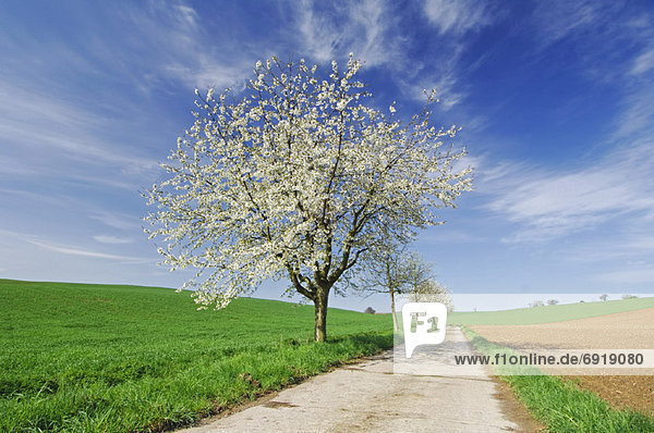 Baden-Württemberg  Deutschland