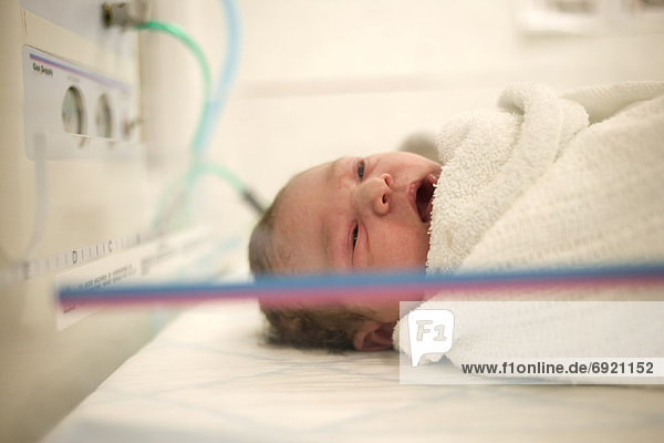 Neugeborenes  neugeboren  Neugeborene  Zimmer  bringen  Baby