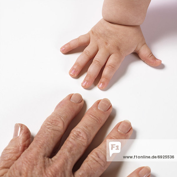 Hands of Baby and Woman