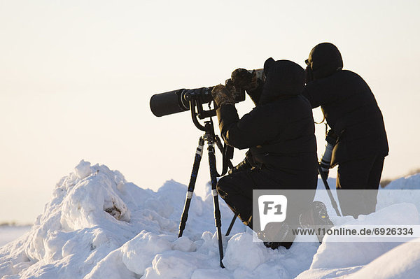 Wildlife Photographers  Hokkaido  Japan