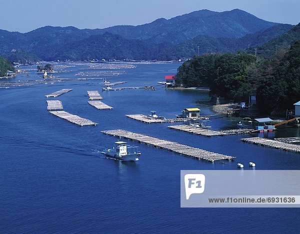 Oyster farm in the Mie Prefecture  Japan