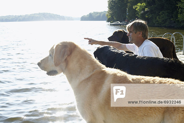 Man on Dock with Dogs  Three Mile Lake  Muskoka  Ontario  Canada