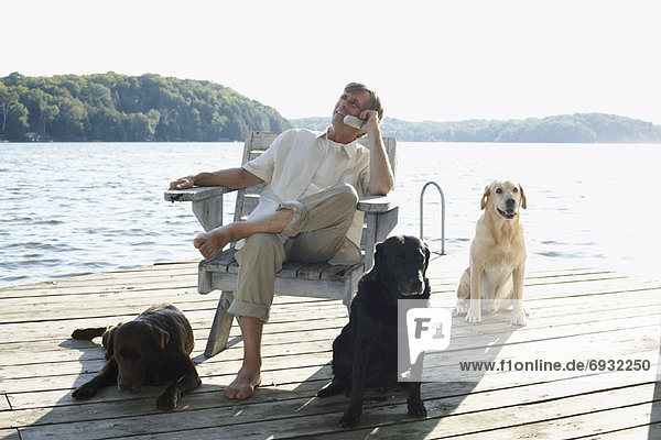 Man on Dock with Dogs  Three Mile Lake  Muskoka  Ontario  Canada