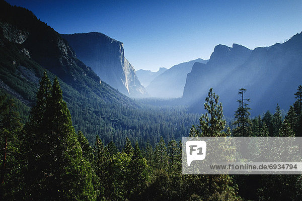 Yosemite Nationalpark  Kalifornien  USA