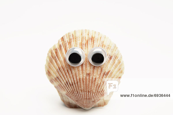 Shell with Googly Eyes