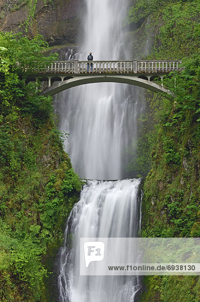 Vereinigte Staaten von Amerika  USA  Landschaftlich schön  landschaftlich reizvoll  Fluss  Zimmer  Schlucht  Multnomah Falls  Oregon