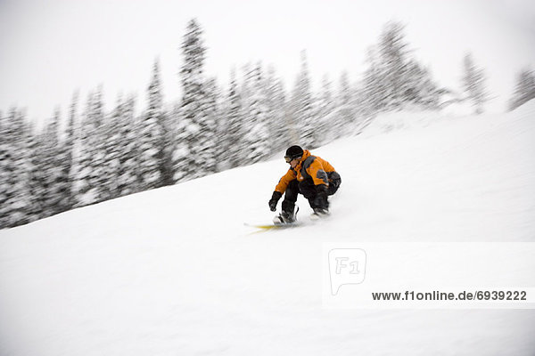 Man Snowboarding  Banff National Park  Alberta  Canada