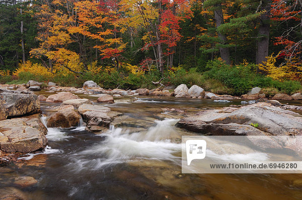 Vereinigte Staaten von Amerika  USA  Geschwindigkeit  Wald  Fluss  Herbst  New Hampshire