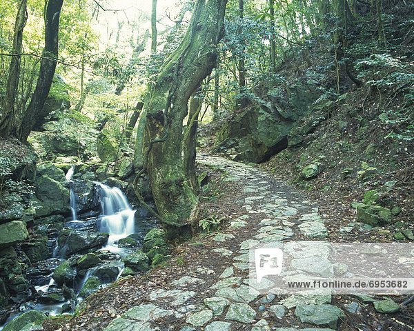 Waterfall and Footpath  Nara Prefecture  Japan