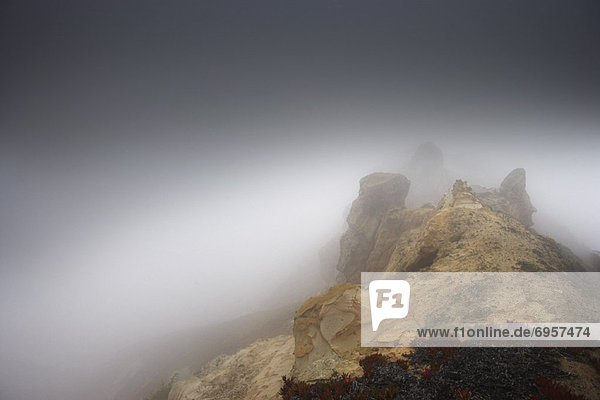 Fog Over Cliffs  North California  California  USA