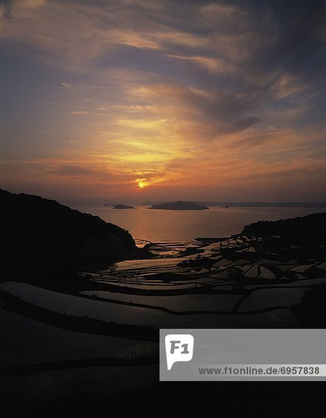 Rice terraces at dusk  Nagasaki Prefecture  Kyushu  Japan