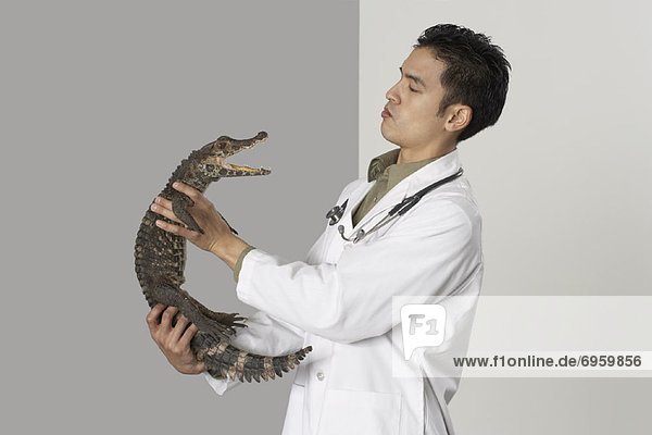 Veterinarian Holding Alligator