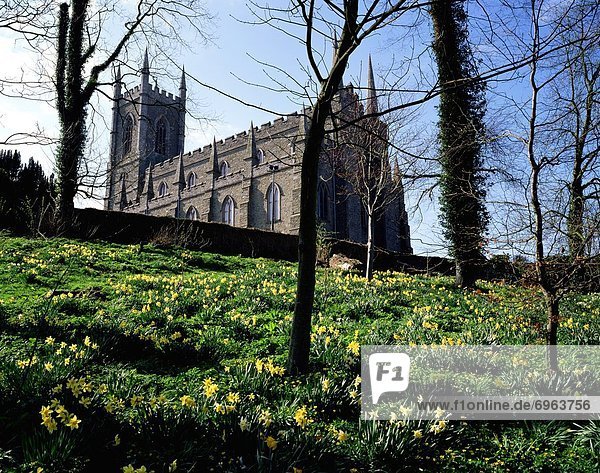 niedrig Kathedrale Ansicht Flachwinkelansicht Winkel Nordirland
