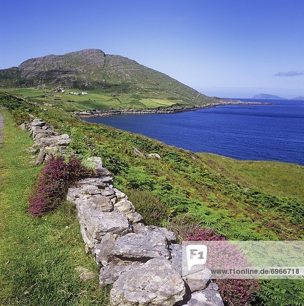 Stone Wall On A Coast  Allihies  County Cork  Republic Of Ireland