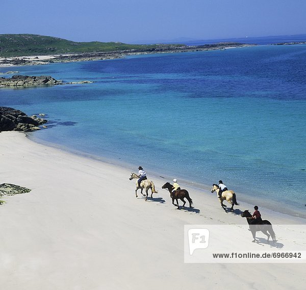 High Angle View Of Four People Horseback Riding On The Beach  Mannin Bay  Connemara  County Galway  Republic Of Ireland