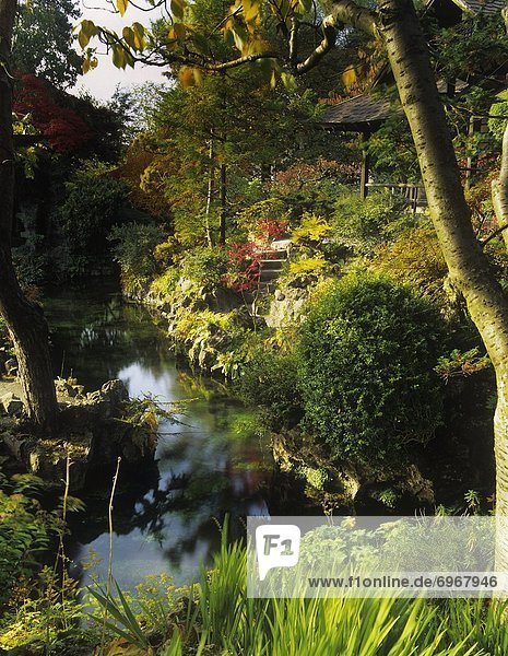 hoch  oben  Pflanze  Garten  Ansicht  Flachwinkelansicht  Winkel  Japanischer Garten  Teich