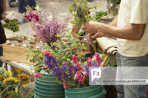 Blume verkaufen Pflanze Landwirtin Markt Straßenverkäufer