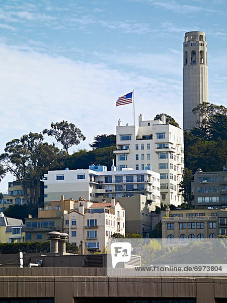 Vereinigte Staaten von Amerika  USA  Kalifornien  Coit Tower  San Francisco